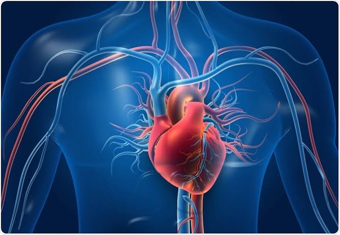 “Decoding Heart Failure: Understanding Causes and Symptoms”