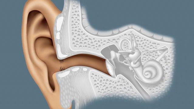 Demystifying Earwax: Understanding its Composition and Purpose