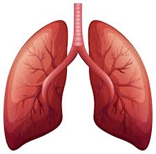 “Guarding Your Lungs: Key Strategies for Lung Cancer dPrevention”